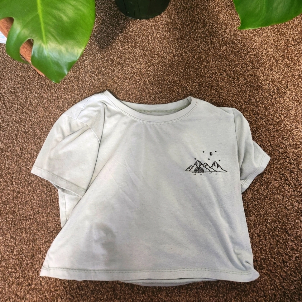 embroidered crop top